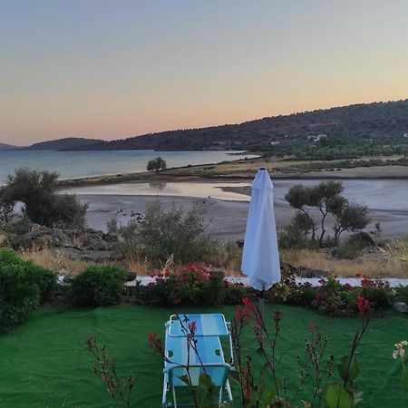 "Koukmos Beach" Greenspace Living - Private Sandy Beach Παράκοιλα Εξωτερικό φωτογραφία
