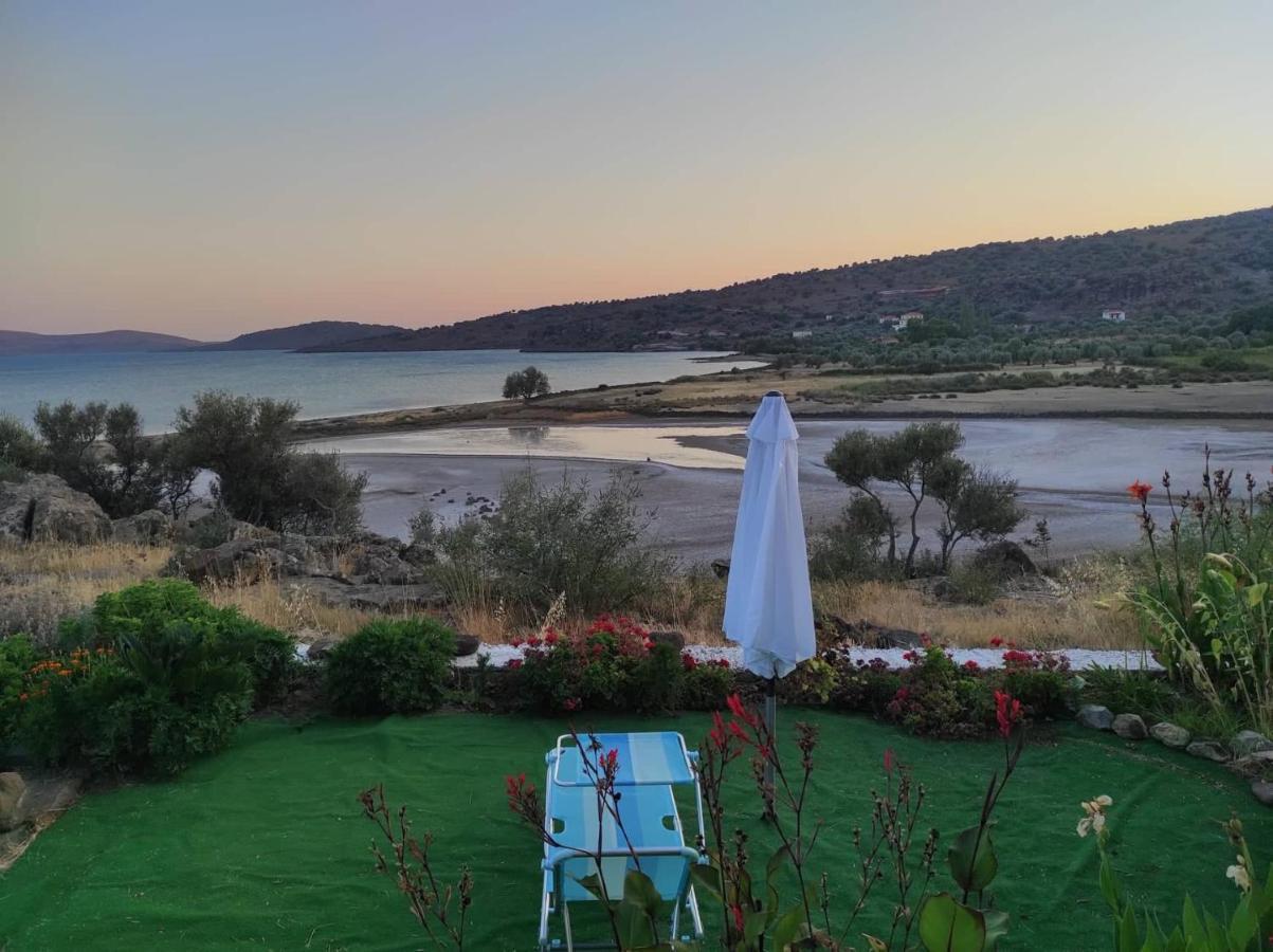 "Koukmos Beach" Greenspace Living - Private Sandy Beach Παράκοιλα Εξωτερικό φωτογραφία