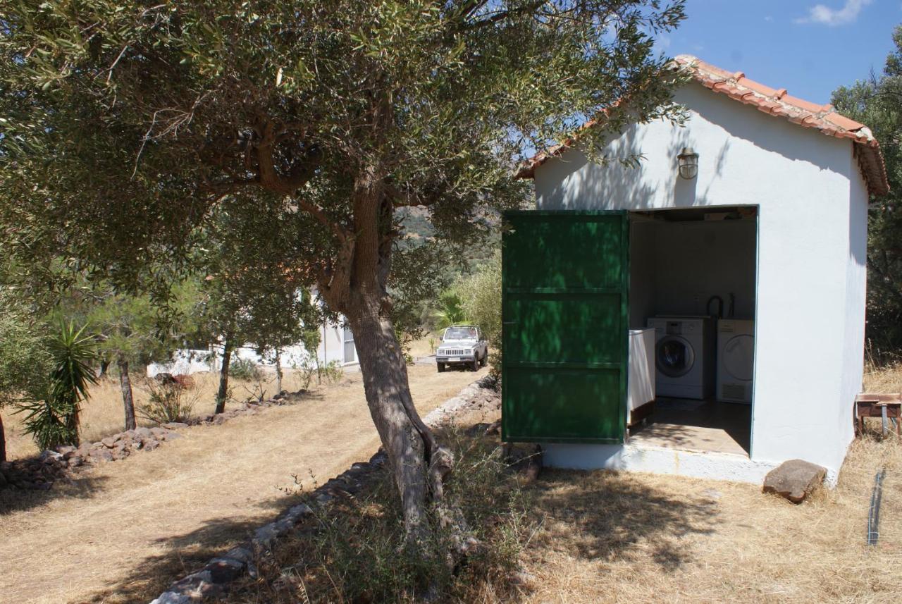 "Koukmos Beach" Greenspace Living - Private Sandy Beach Παράκοιλα Εξωτερικό φωτογραφία