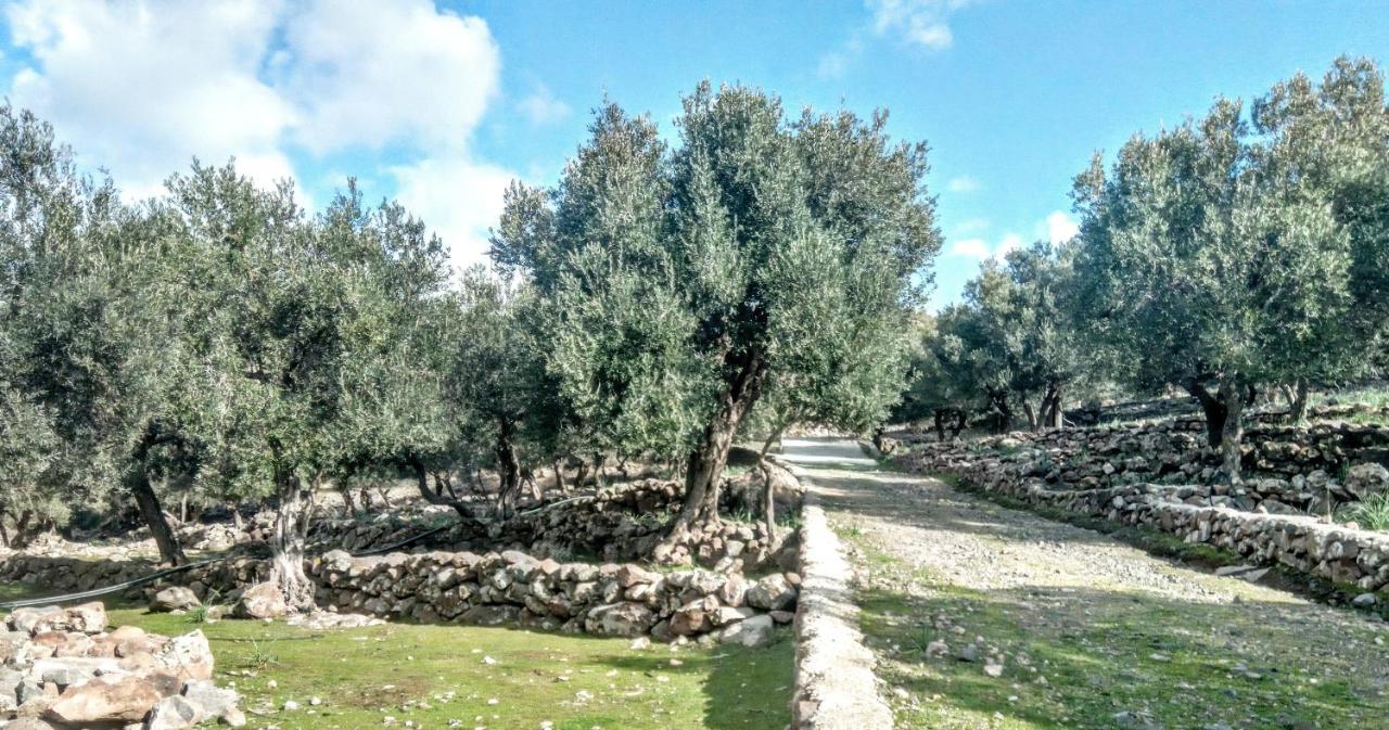 "Koukmos Beach" Greenspace Living - Private Sandy Beach Παράκοιλα Εξωτερικό φωτογραφία