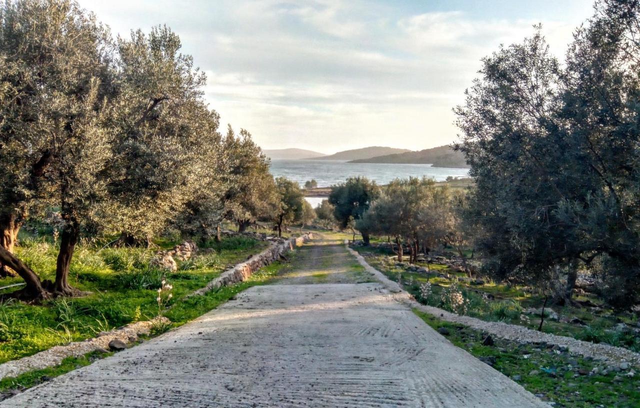 "Koukmos Beach" Greenspace Living - Private Sandy Beach Παράκοιλα Εξωτερικό φωτογραφία