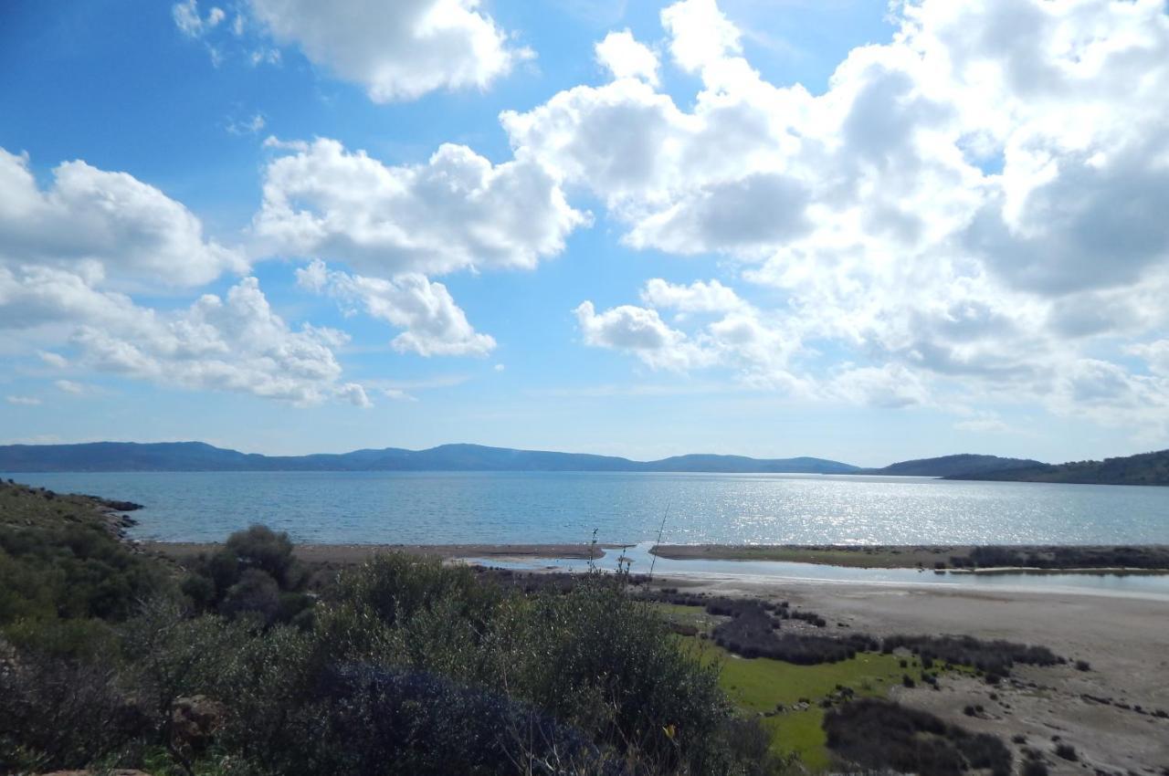 "Koukmos Beach" Greenspace Living - Private Sandy Beach Παράκοιλα Εξωτερικό φωτογραφία