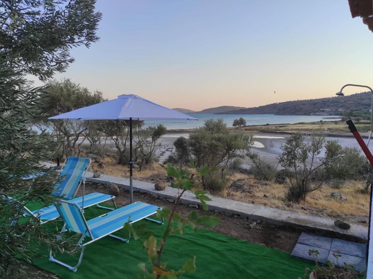 "Koukmos Beach" Greenspace Living - Private Sandy Beach Παράκοιλα Εξωτερικό φωτογραφία