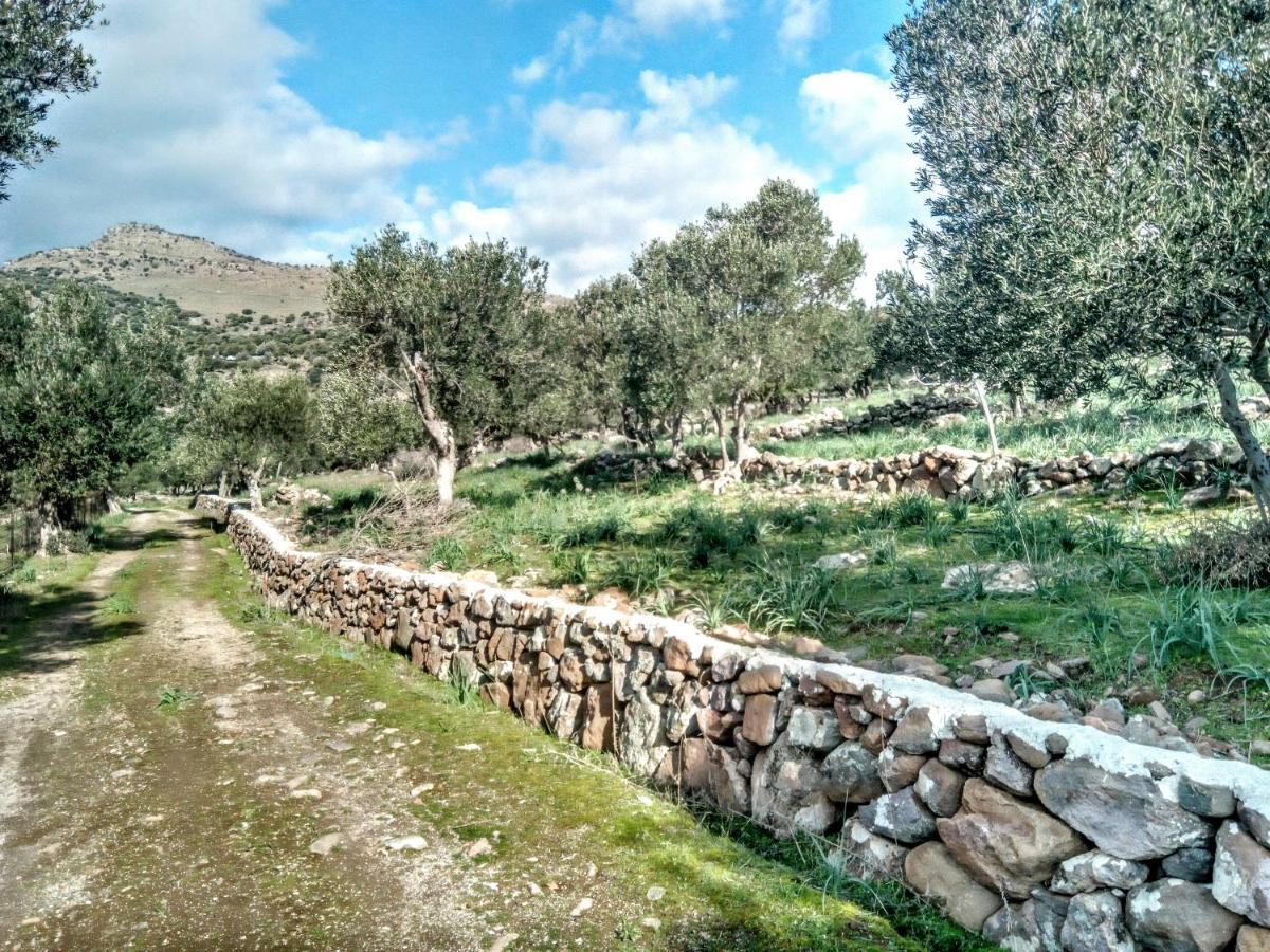 "Koukmos Beach" Greenspace Living - Private Sandy Beach Παράκοιλα Εξωτερικό φωτογραφία
