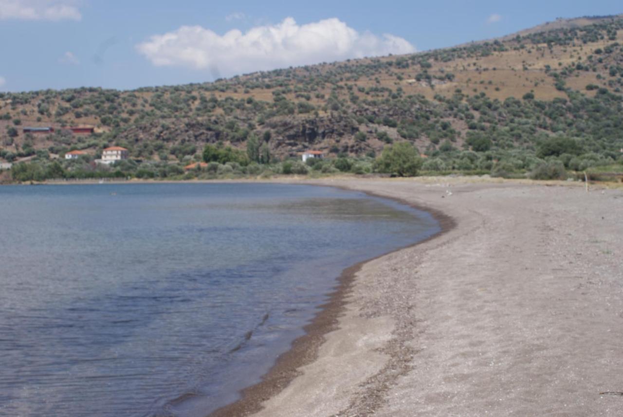 "Koukmos Beach" Greenspace Living - Private Sandy Beach Παράκοιλα Εξωτερικό φωτογραφία