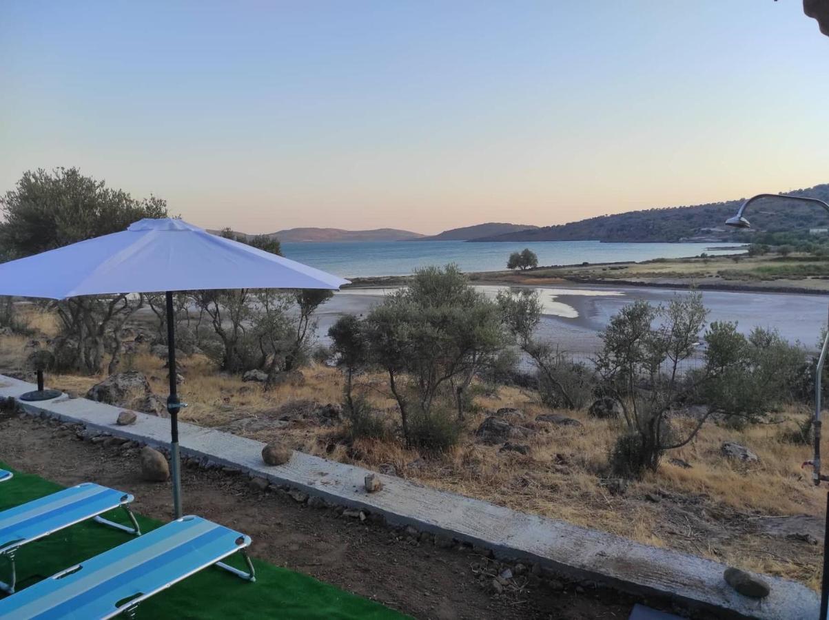 "Koukmos Beach" Greenspace Living - Private Sandy Beach Παράκοιλα Εξωτερικό φωτογραφία