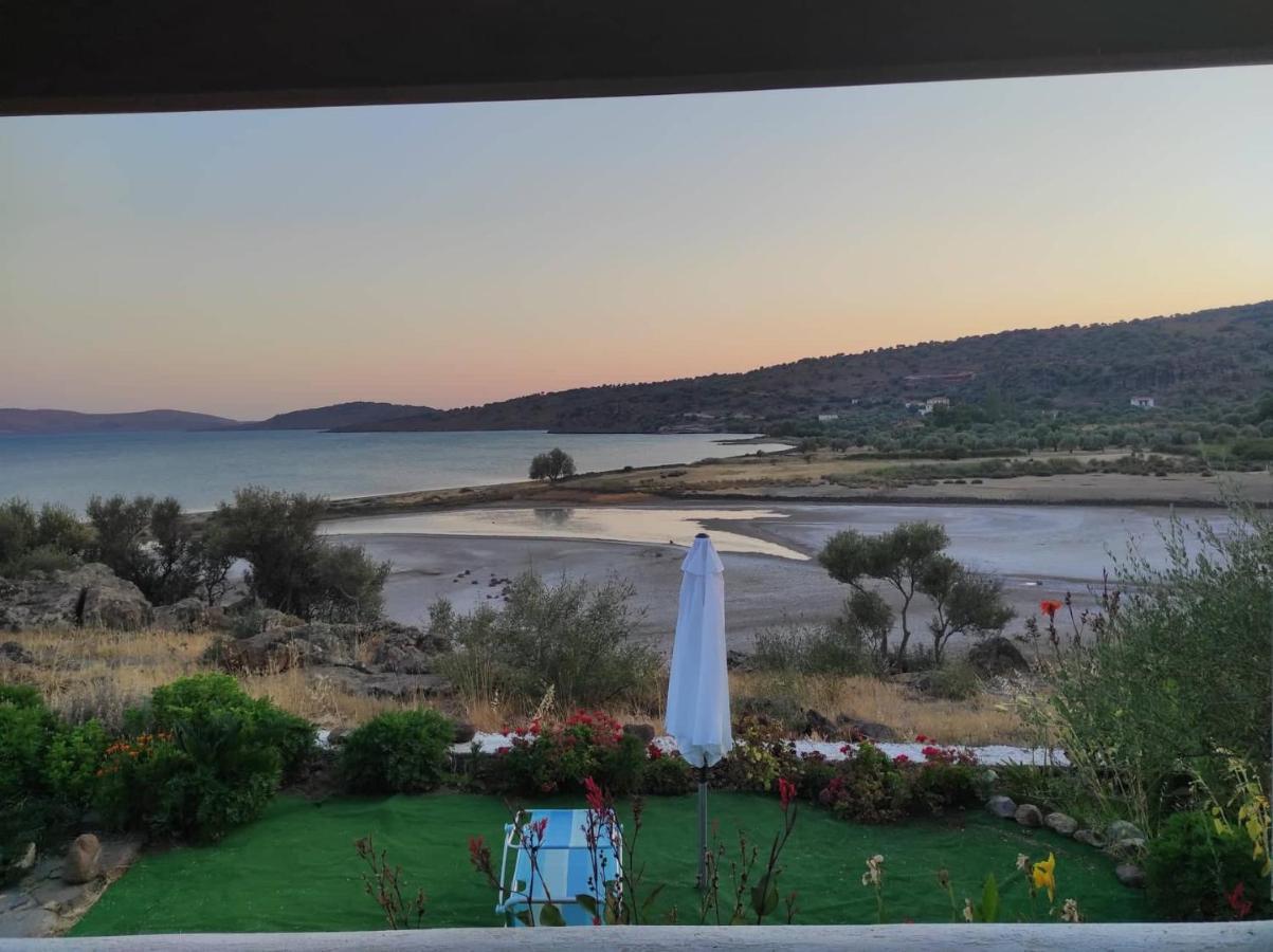 "Koukmos Beach" Greenspace Living - Private Sandy Beach Παράκοιλα Εξωτερικό φωτογραφία