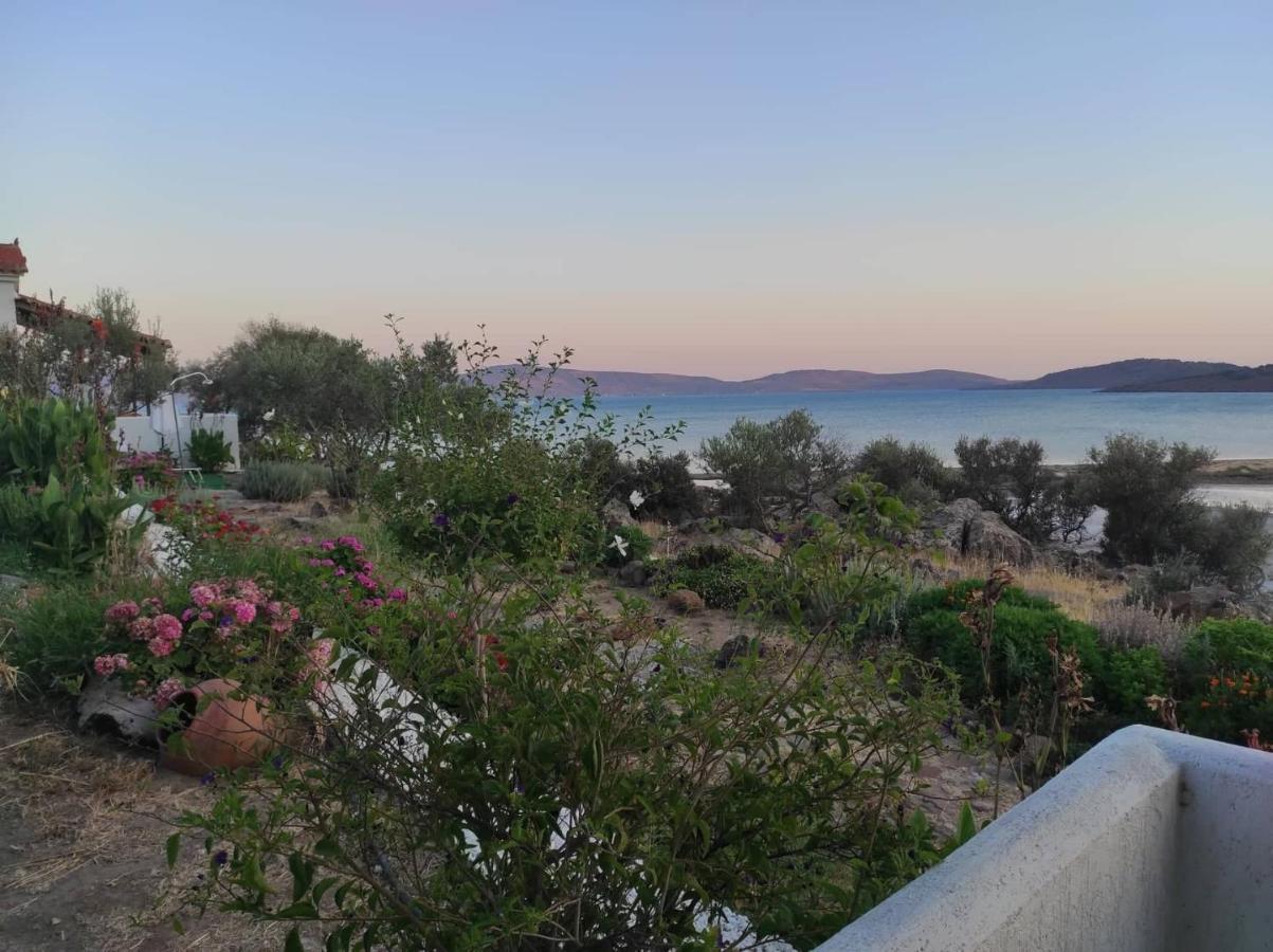 "Koukmos Beach" Greenspace Living - Private Sandy Beach Παράκοιλα Εξωτερικό φωτογραφία