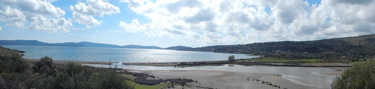 "Koukmos Beach" Greenspace Living - Private Sandy Beach Παράκοιλα Εξωτερικό φωτογραφία
